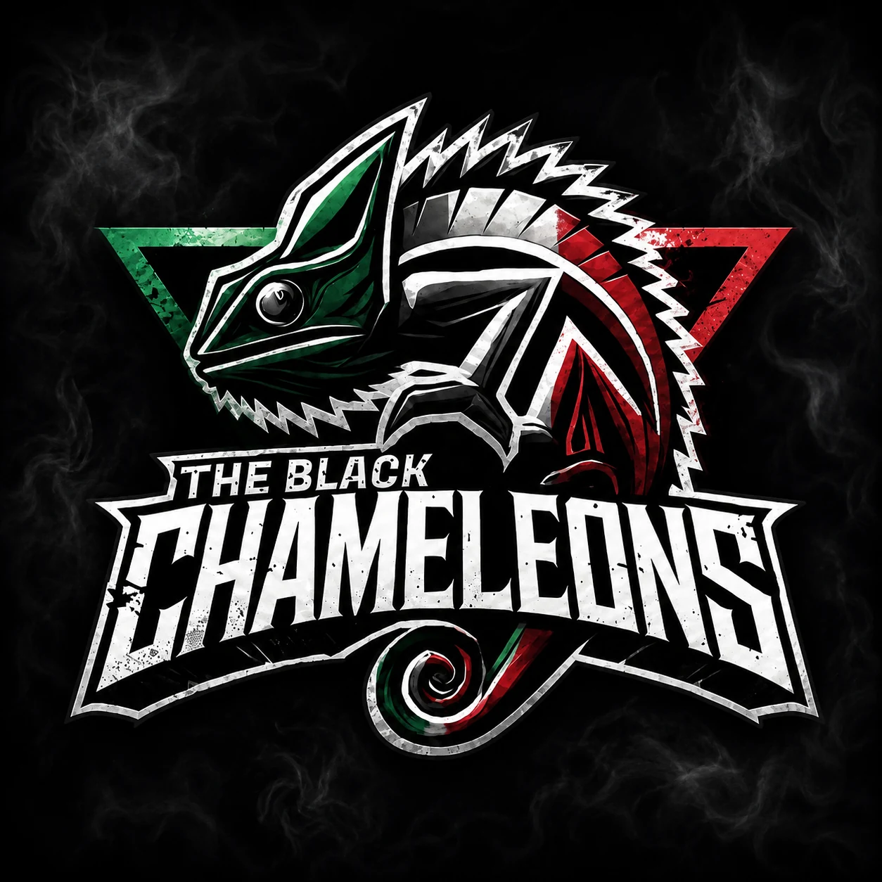 Logo de The Black Chameleons